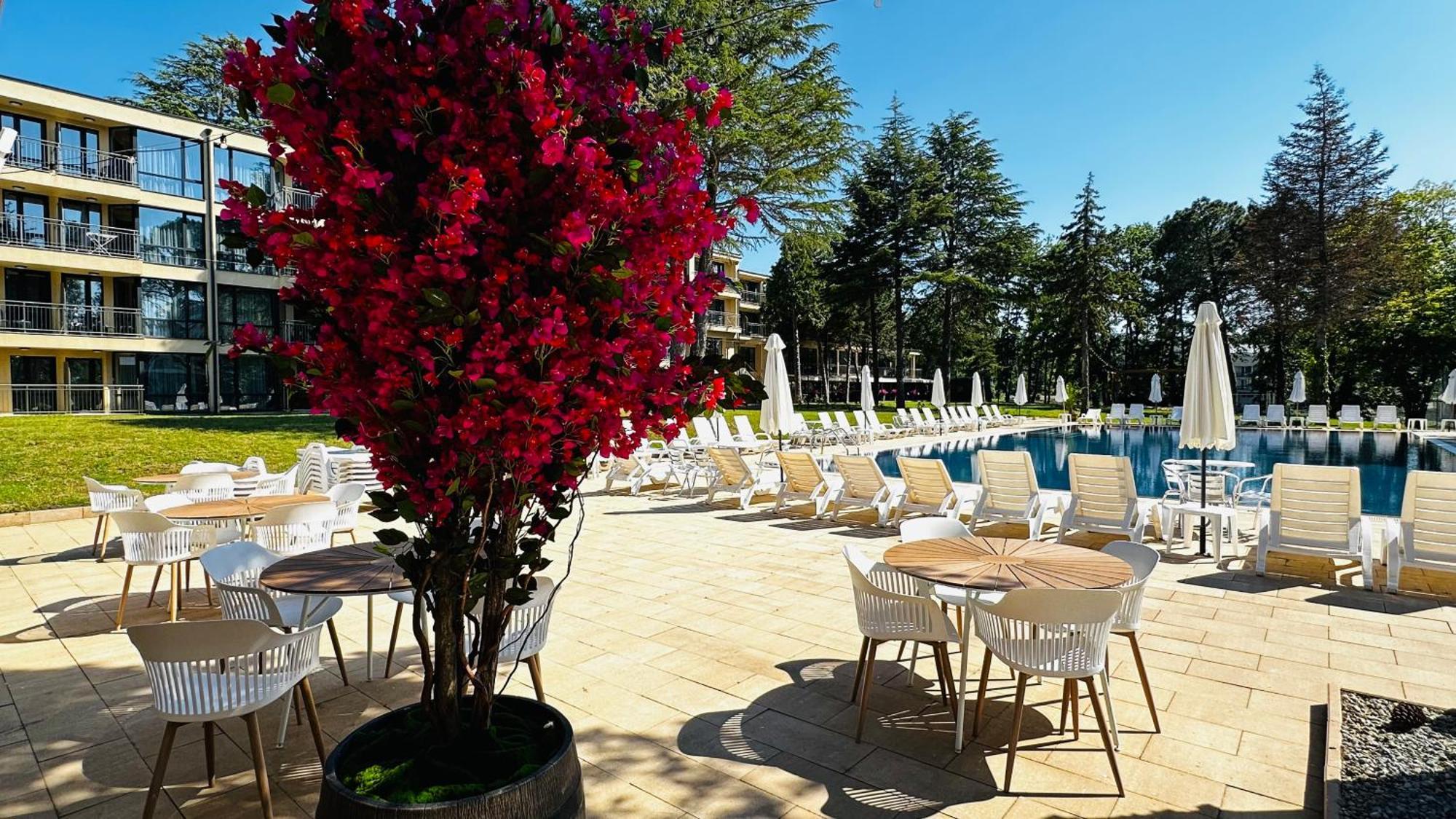 Queen Nelly Park كيتن المظهر الخارجي الصورة