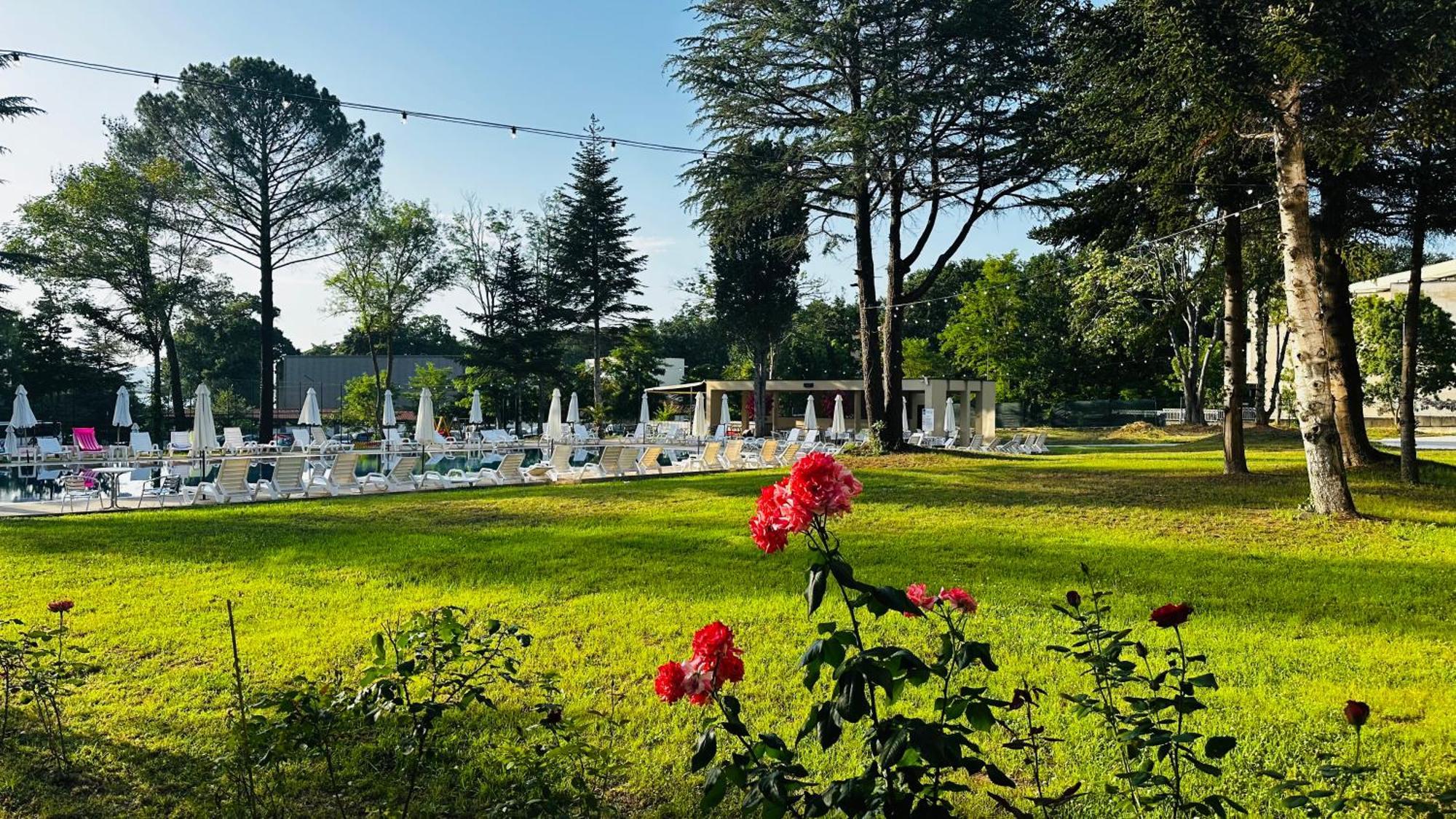 Queen Nelly Park كيتن المظهر الخارجي الصورة