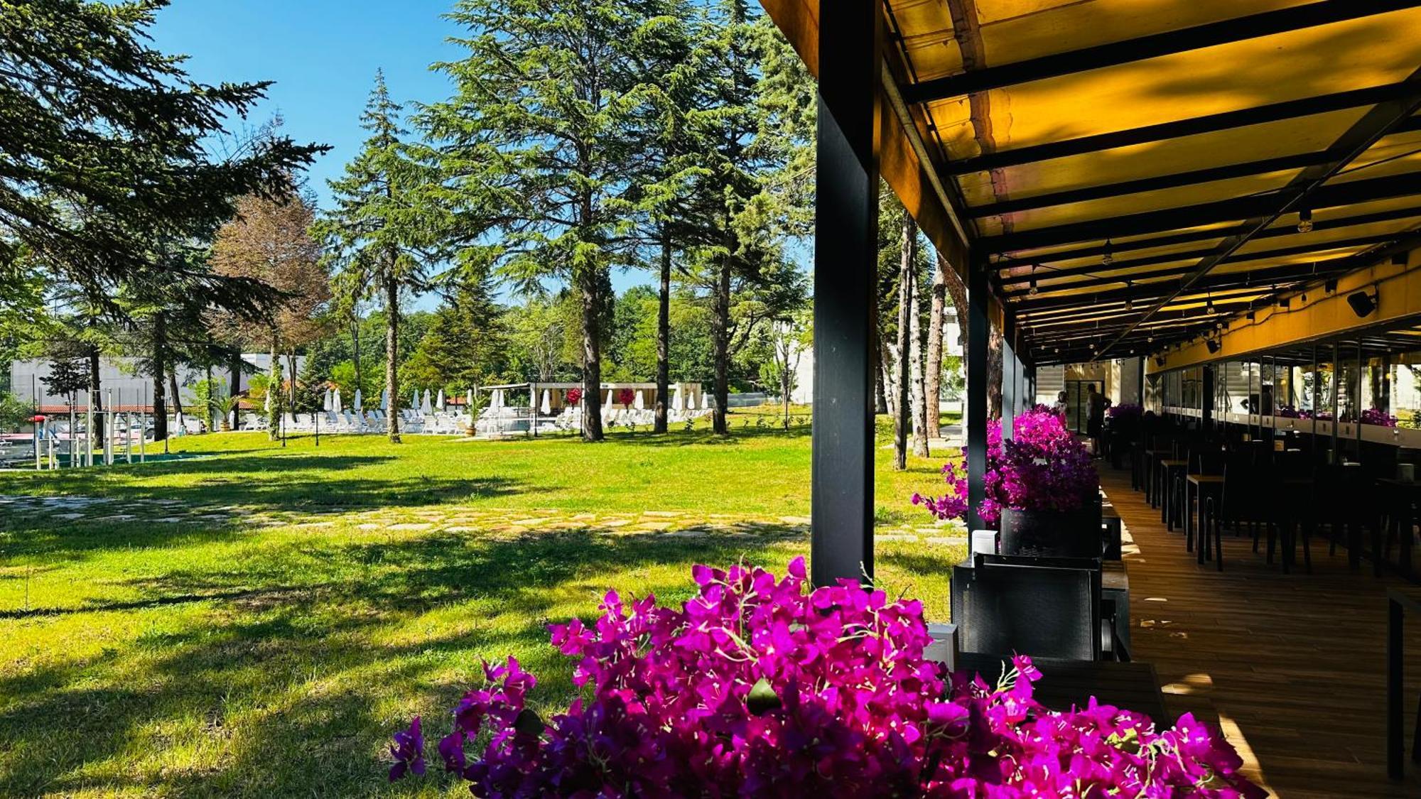 Queen Nelly Park كيتن المظهر الخارجي الصورة