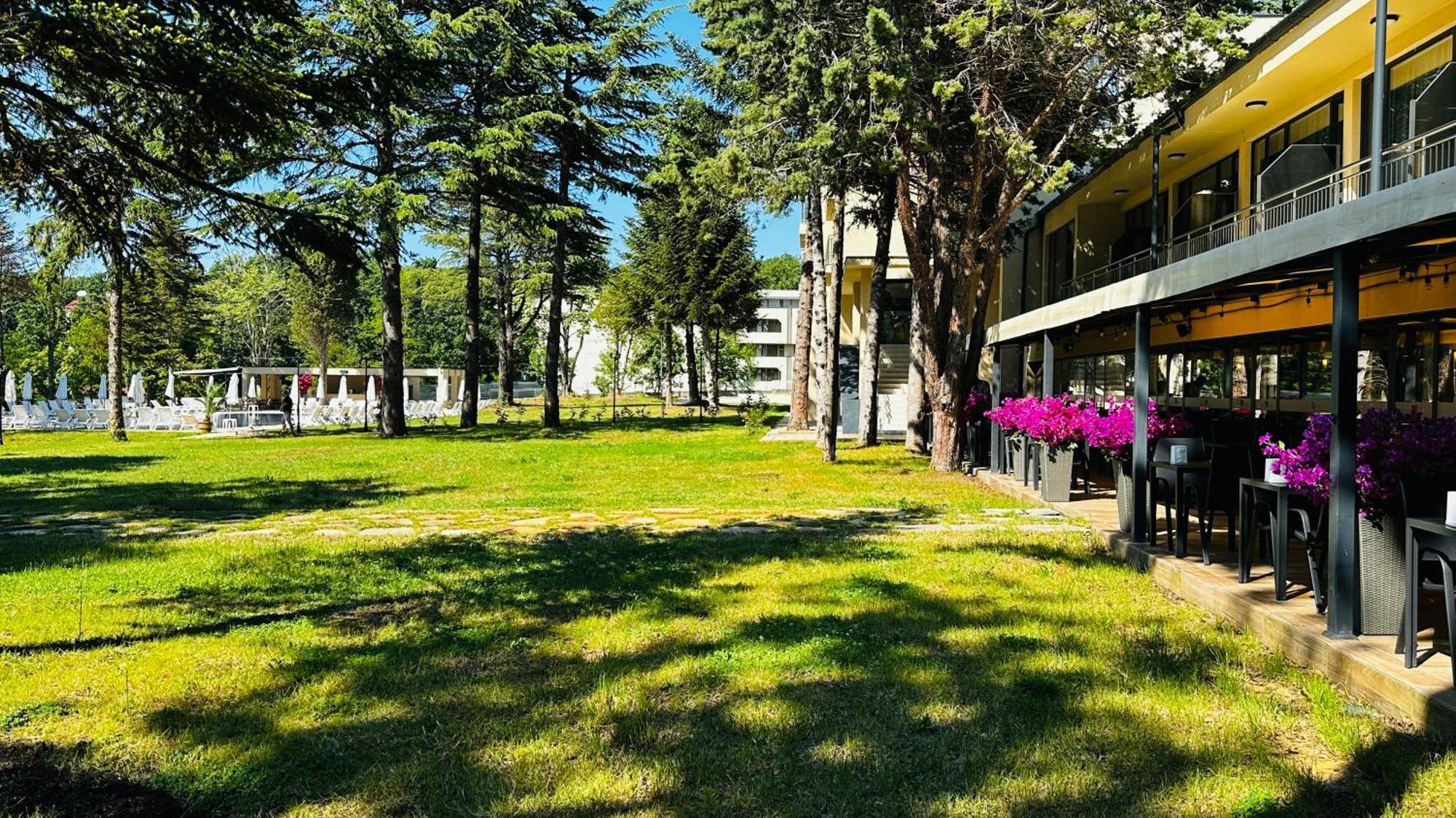 Queen Nelly Park كيتن المظهر الخارجي الصورة